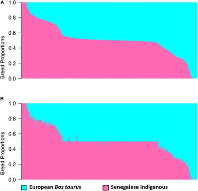 Inference of Ancestries and Heterozygosity Proportion and Genotype Imputation in West African Cattle Populations